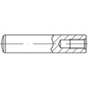 DIN7979 Cilindrische pen met binnendraad gehard Staal